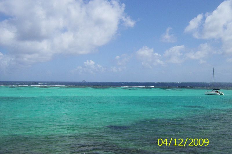 Tobago_Cays_-_reef.jpg